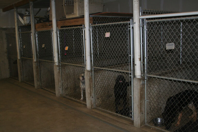 boarding-schilling-s-hidden-hill-kennel-ken-schilling