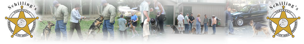 Ken Schilling, Internationally Respected Dog Trainer